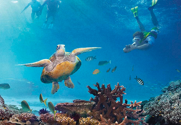 Gran Barrera de Coral