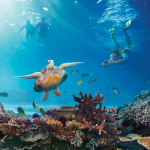 Gran Barrera de Coral