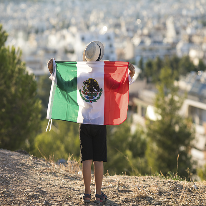 viajes-economicos-en-mexico-nino-con-bandera-mexicana