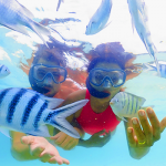 bucear-en-la-gran-barrera-de-coral-australia-pareja-buceando