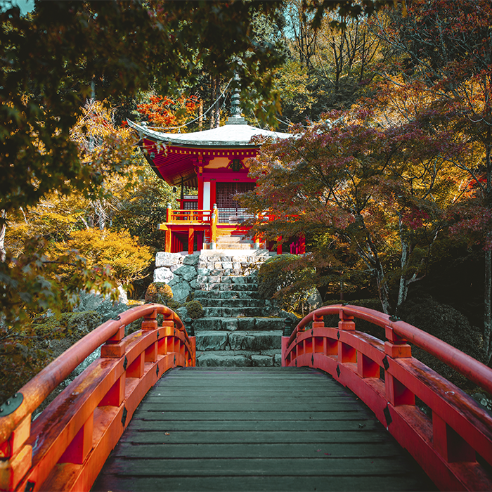 templos-budistas-en-kyoto-daigoji-temple