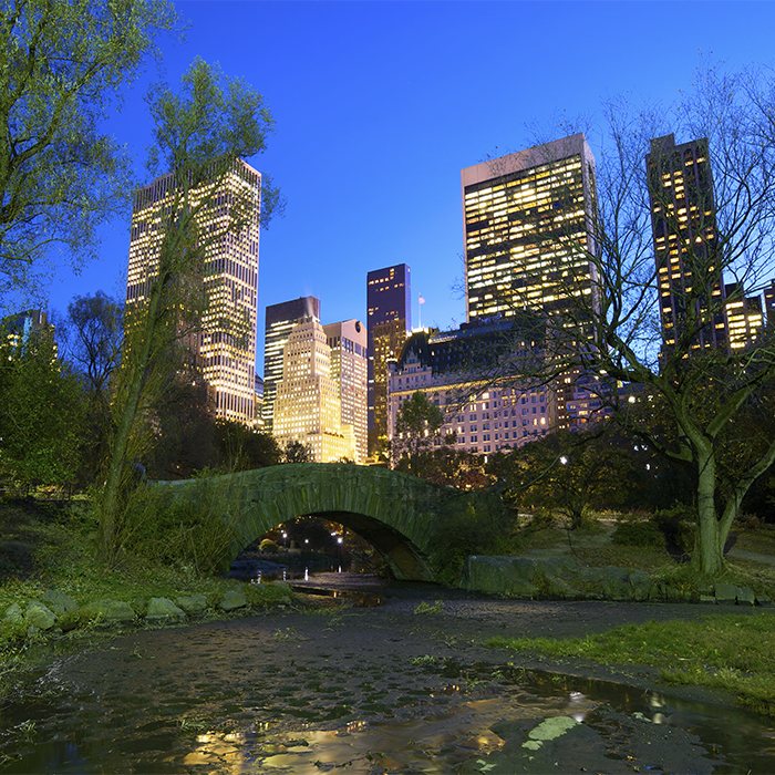 la-ciudad-que-nunca-duerme-new-york-city-central-park-de-noche